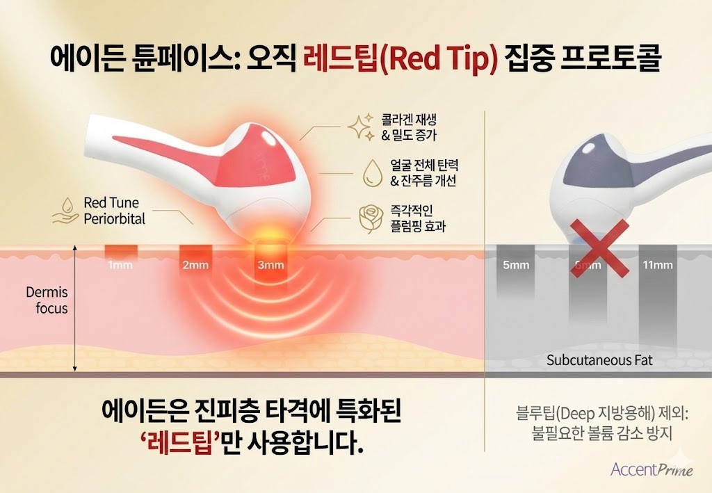 튠페이스 레드팁 상세 1